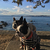 Profile picture small