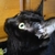Profile picture small