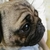 Profile picture small