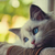 Profile picture small