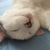 Profile picture small