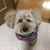 Profile picture small