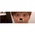 Profile picture small
