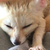 あきちゃん 。