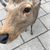 yuko