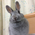 Profile picture small