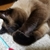 Profile picture small