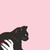 Profile picture small