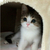 Profile picture small