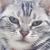 Profile picture small