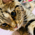 Profile picture small