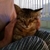 Profile picture small