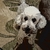 Profile picture small