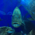 Profile picture small