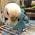 Profile picture small