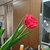 Profile picture small