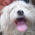Profile picture small