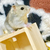 Profile picture small