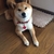 Profile picture small