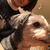 Profile picture small