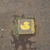 Profile picture small