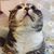 Profile picture small
