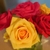 Profile picture small