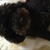 Profile picture small