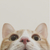 Profile picture small