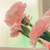 Profile picture small