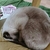 Profile picture small