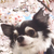 Profile picture small