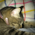 Profile picture small