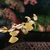 Profile picture small