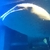 Profile picture small