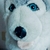 Profile picture small