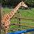 Profile picture small