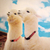 Profile picture small
