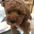 Profile picture small