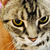 Profile picture small