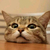 Profile picture small