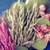 Profile picture small