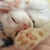 Profile picture small