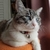 Profile picture small