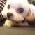 Profile picture small