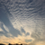 Profile picture small
