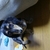 Profile picture small