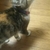 Profile picture small