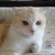 Profile picture small