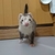 Profile picture small